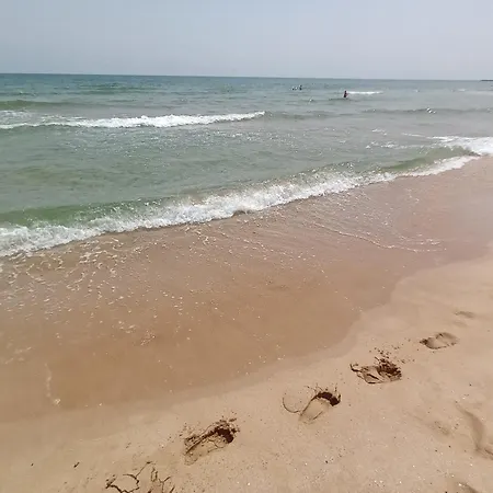 Daire Stamopolulux директен изглед към морето Primorsko