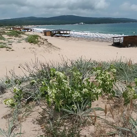 Daire Stamopolulux директен изглед към морето