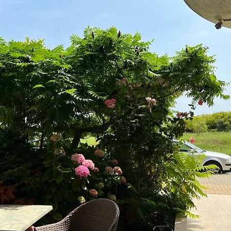 Lägenhet Stamopolulux директен изглед към морето *